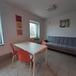 Apartament Zosia